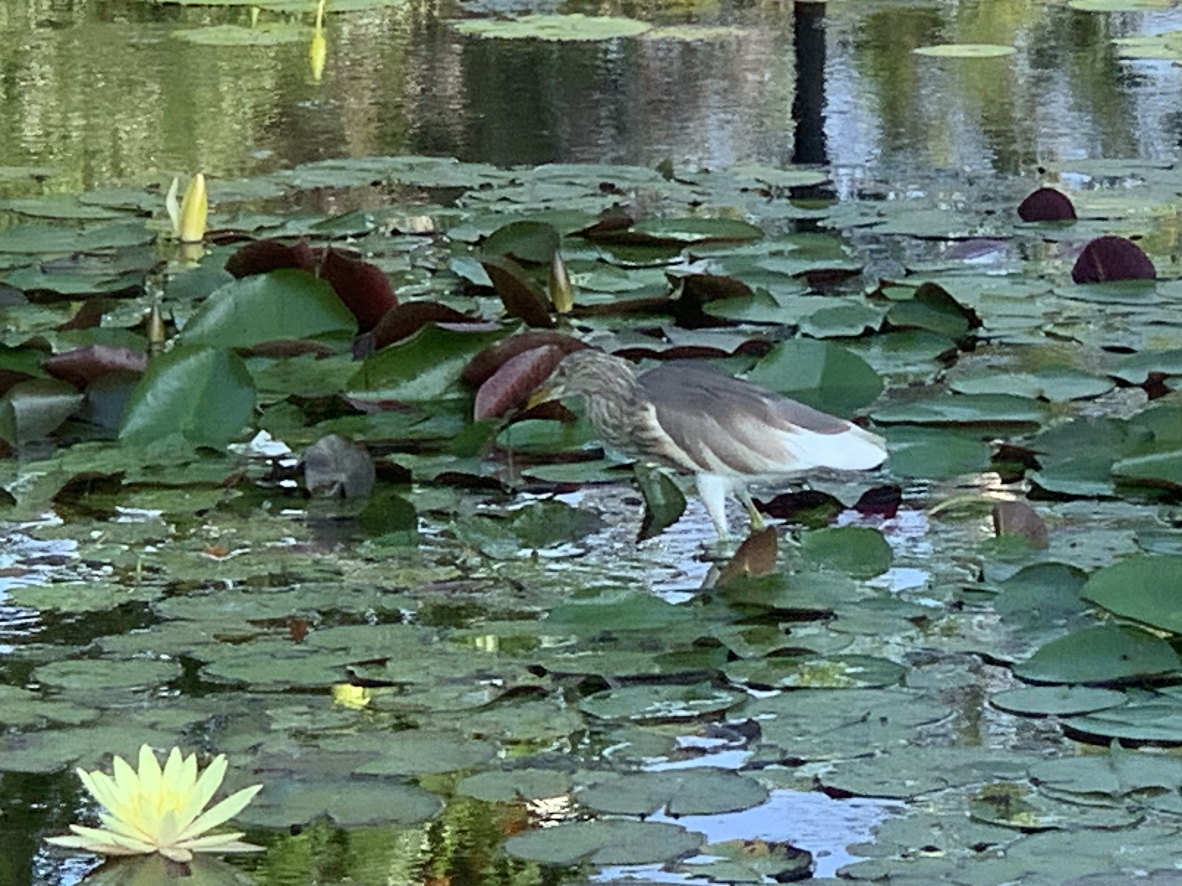 birdwatching spots7.jpg