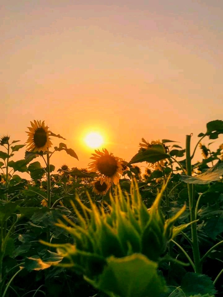 PicsArt_04-01-09.39.55.jpg