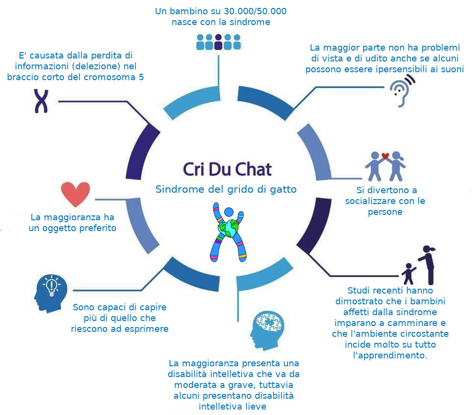 cri du chat ita.jpg
