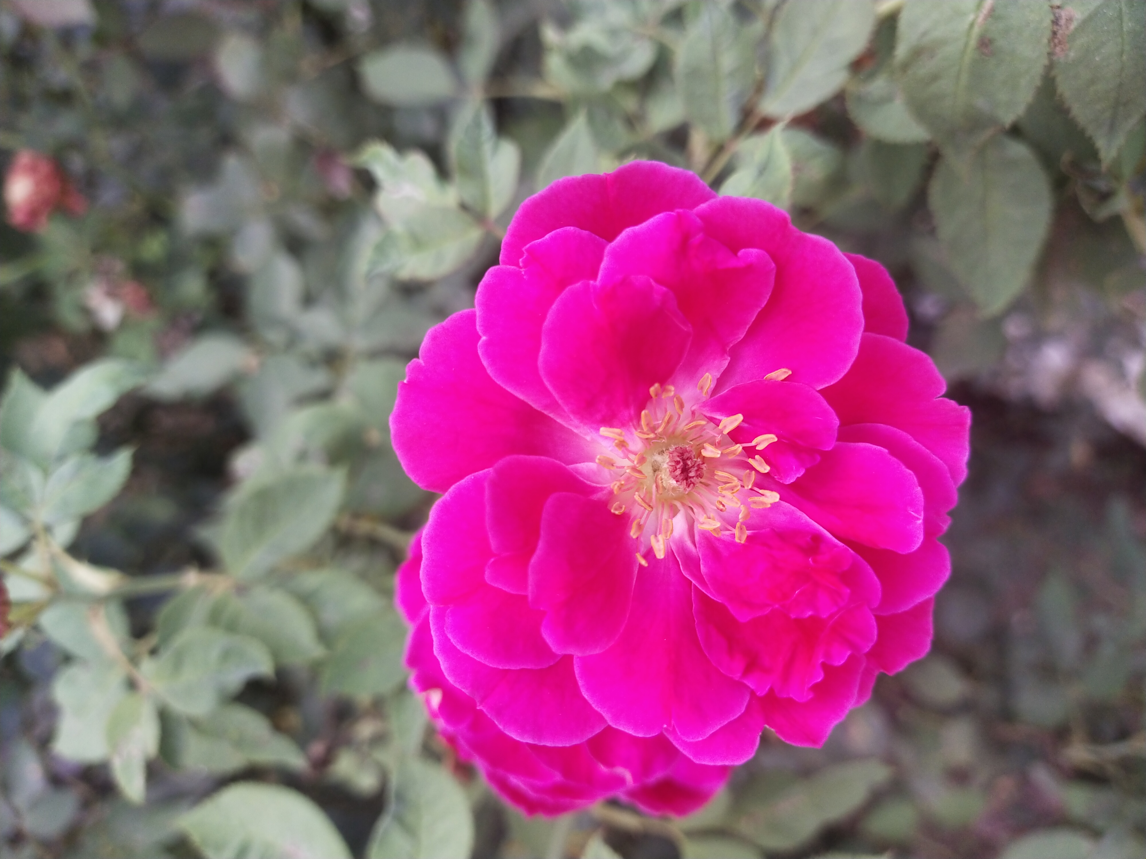IMG_20210920_082910.jpg