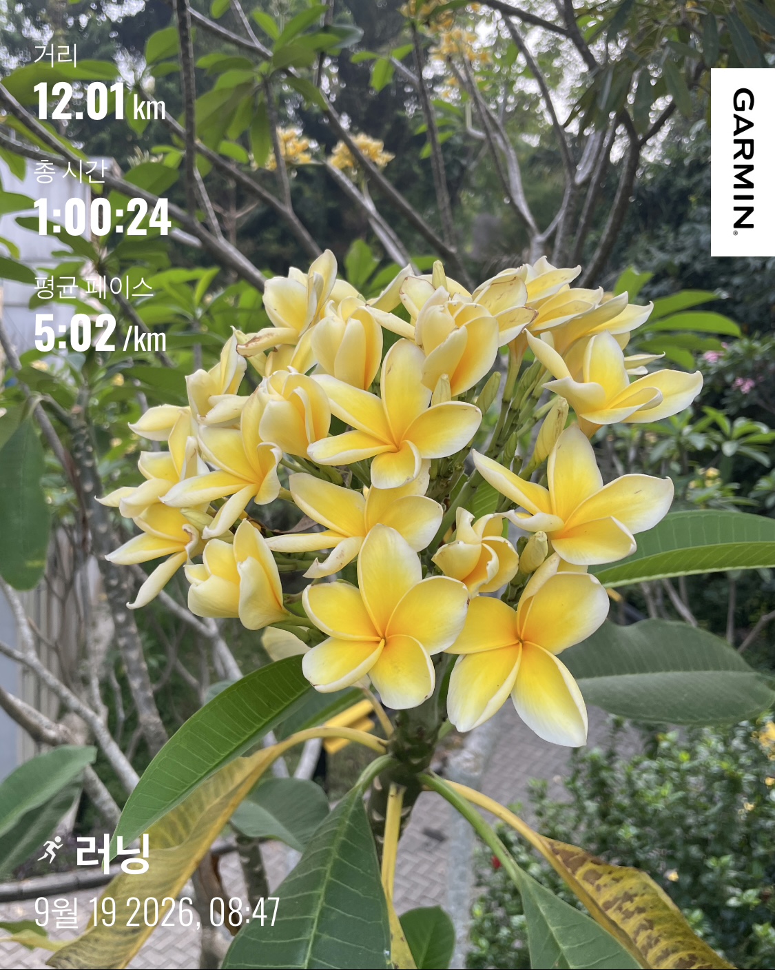 KakaoTalk_20260919_141900188_01.jpg