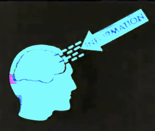 giphy (3).gif