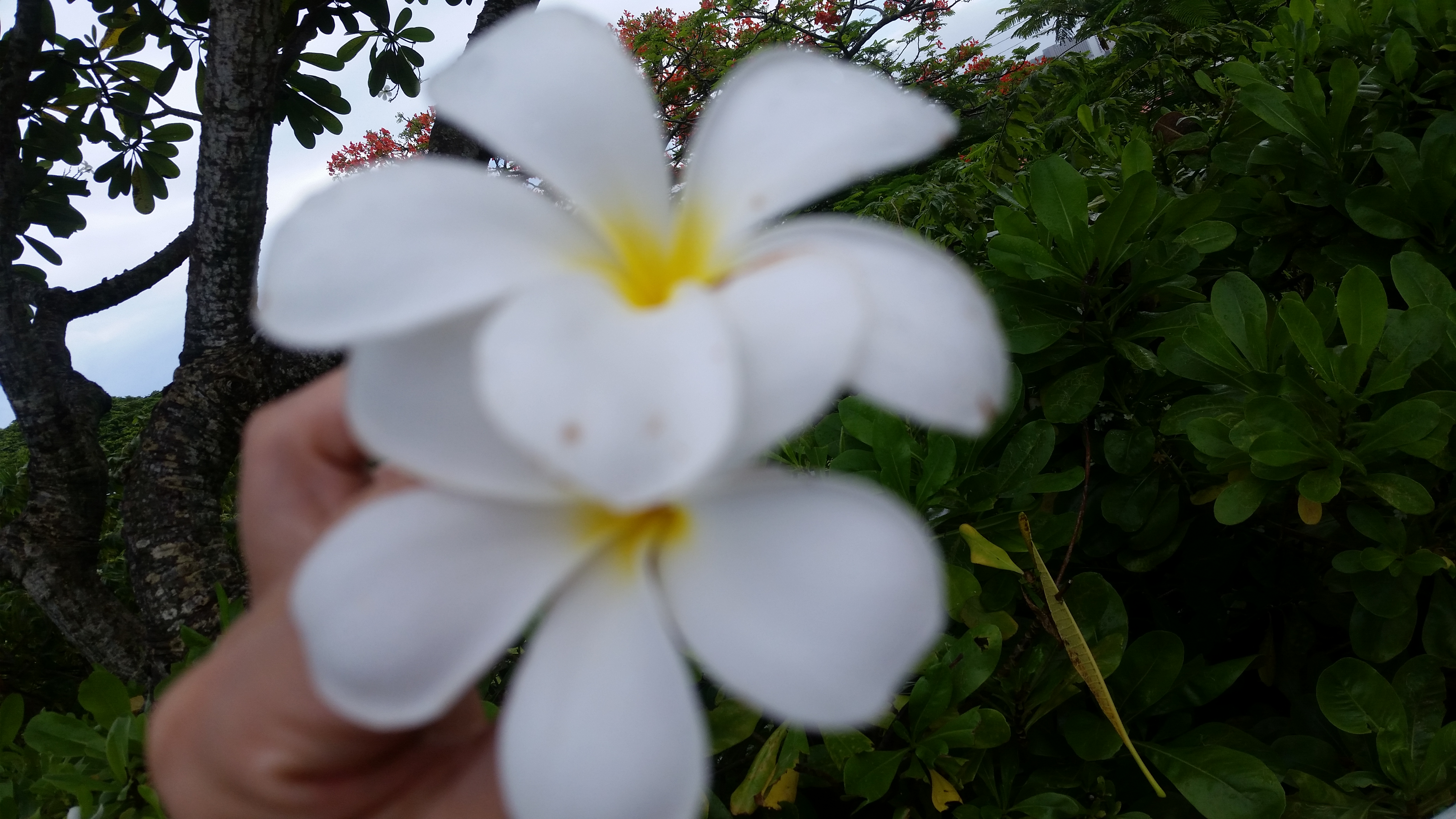 PIC00011E.jpg