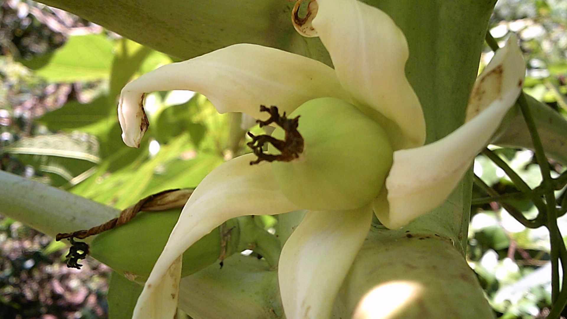 DSCF0839.JPG