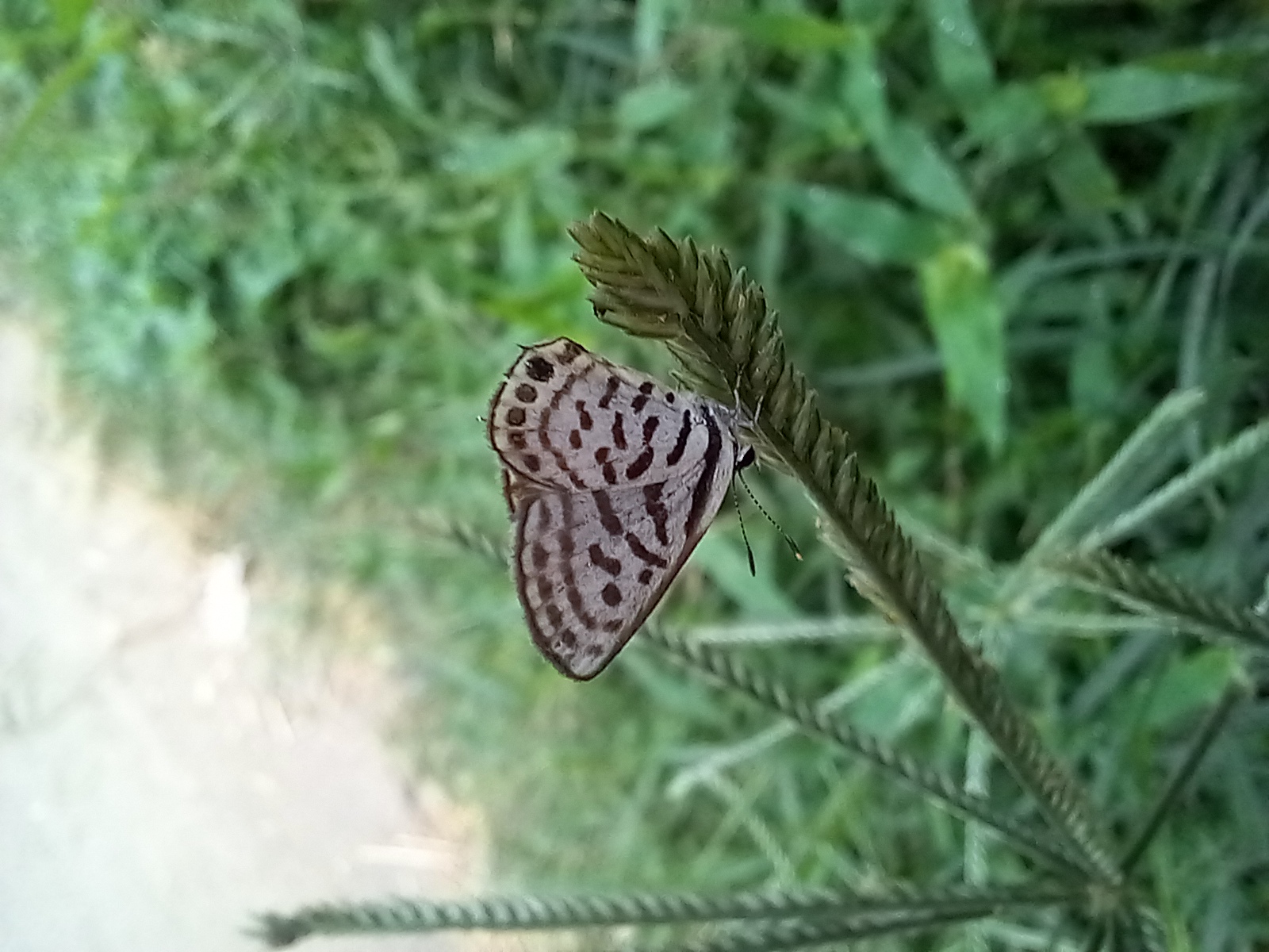 1000105063.jpg
