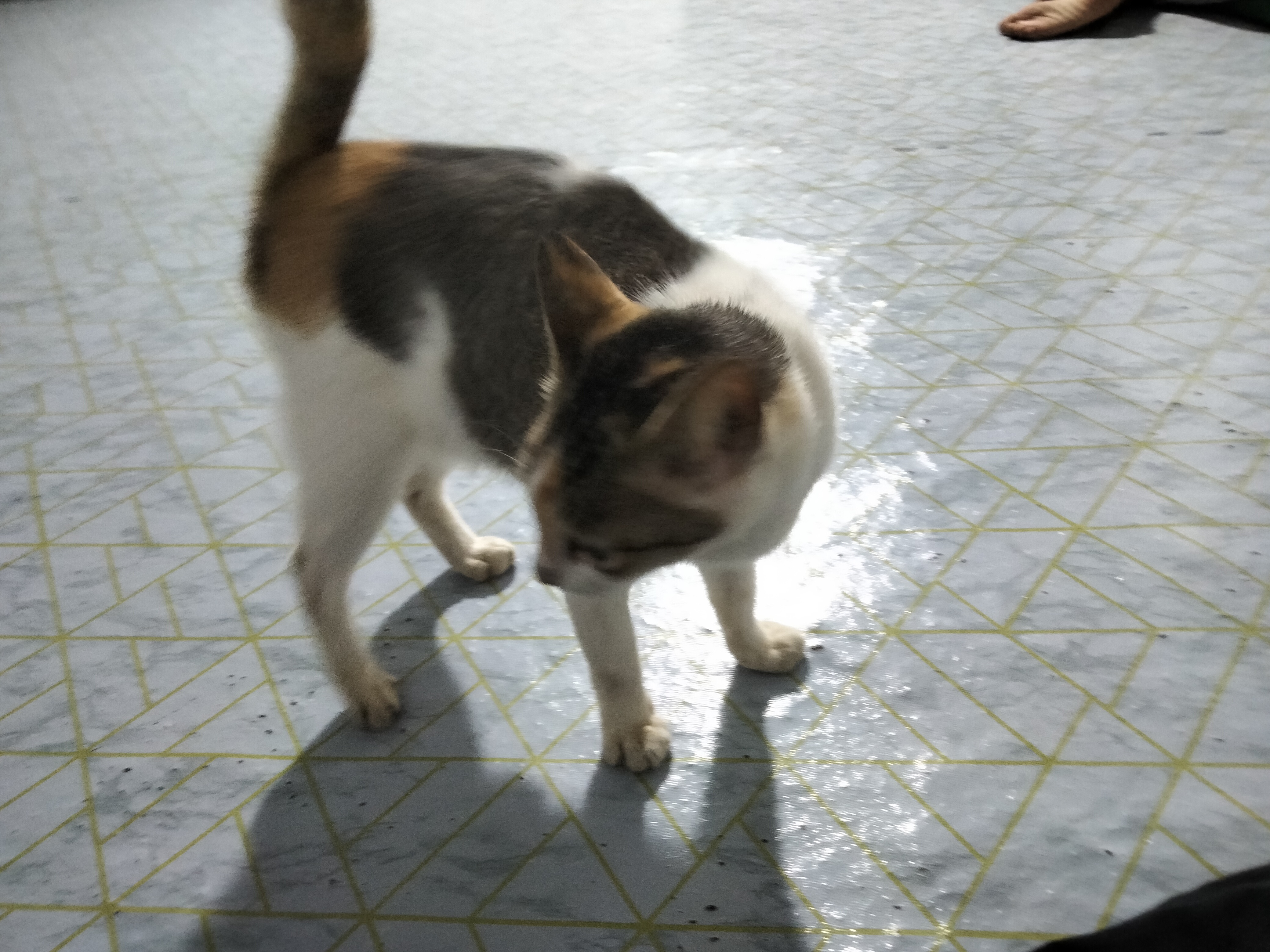 IMG20240820204033.jpg