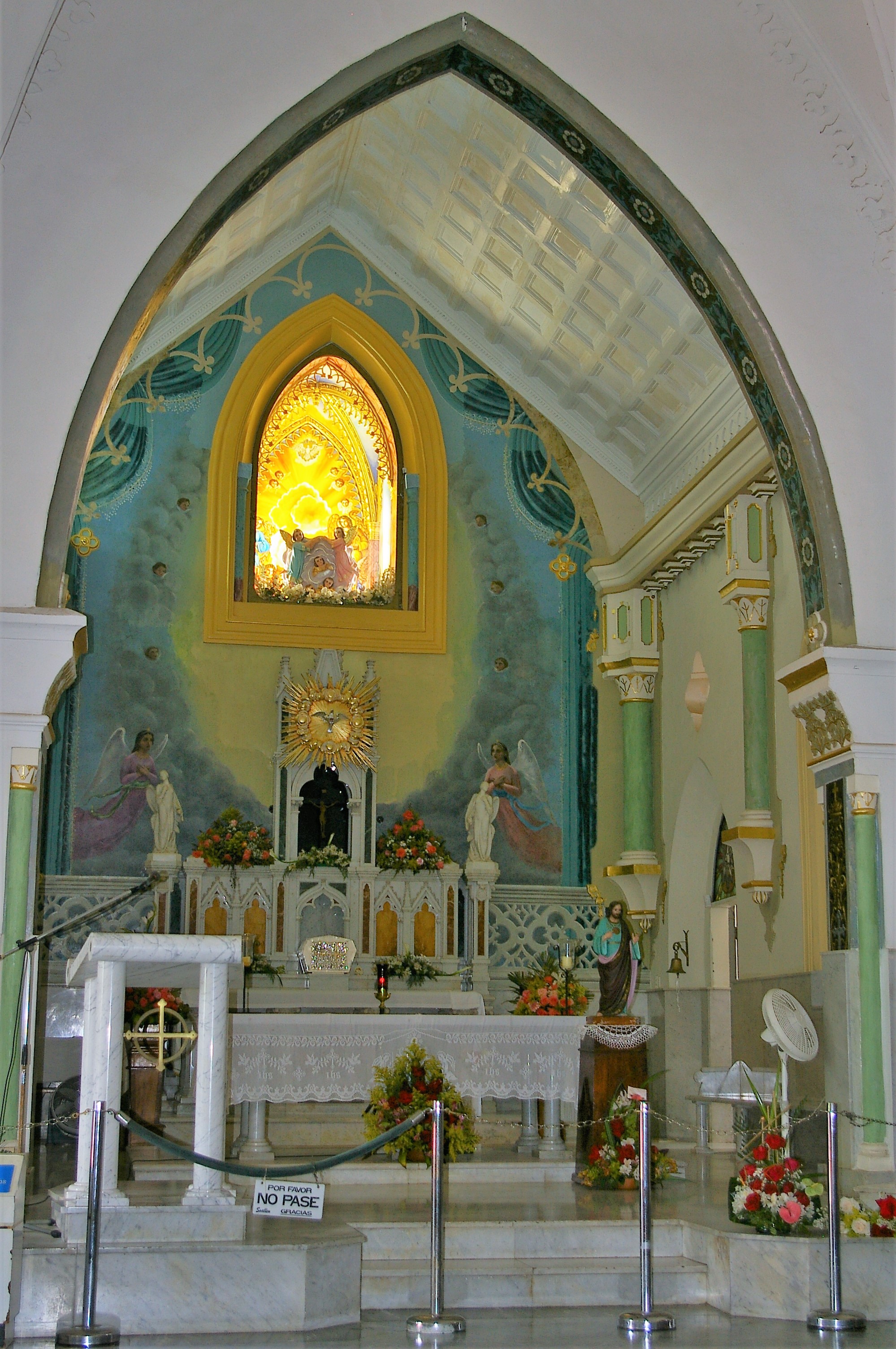 IMGP4509.jpg