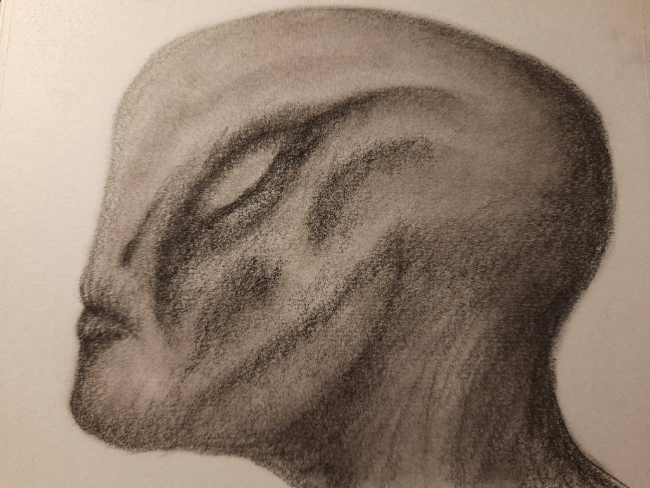 20260809_094548.jpg