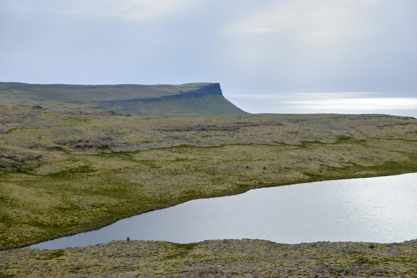 DSCF4615.jpg