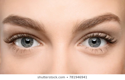 beautiful-female-eyes-long-eyelashes-260nw-781946941.webp