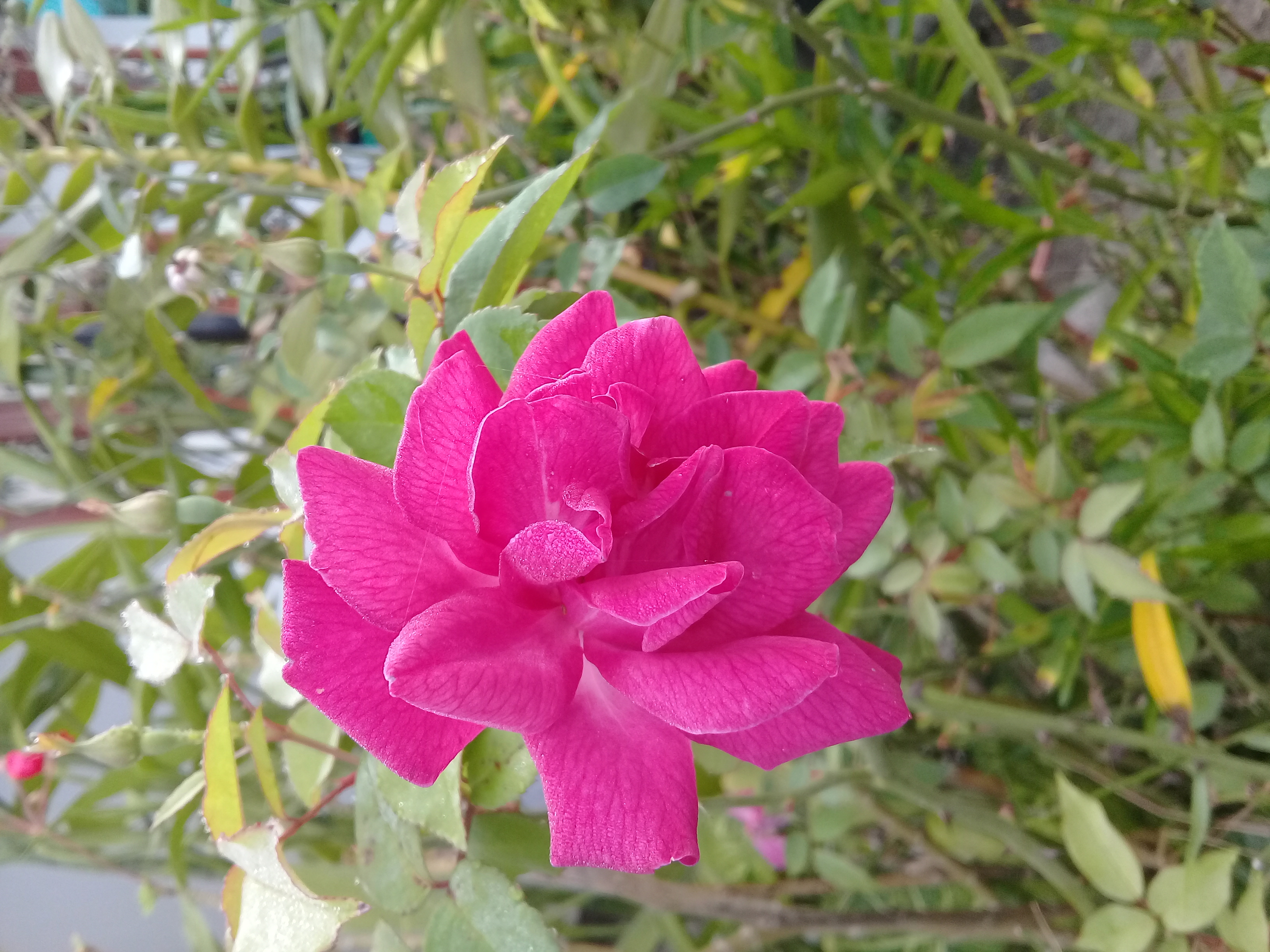 20180830_073610.jpg
