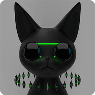 9.webp