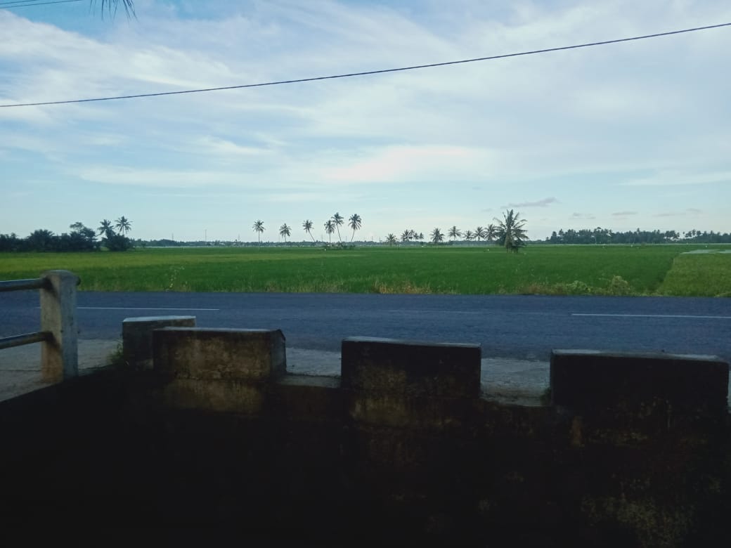 IMG-20250311-WA0018.jpg