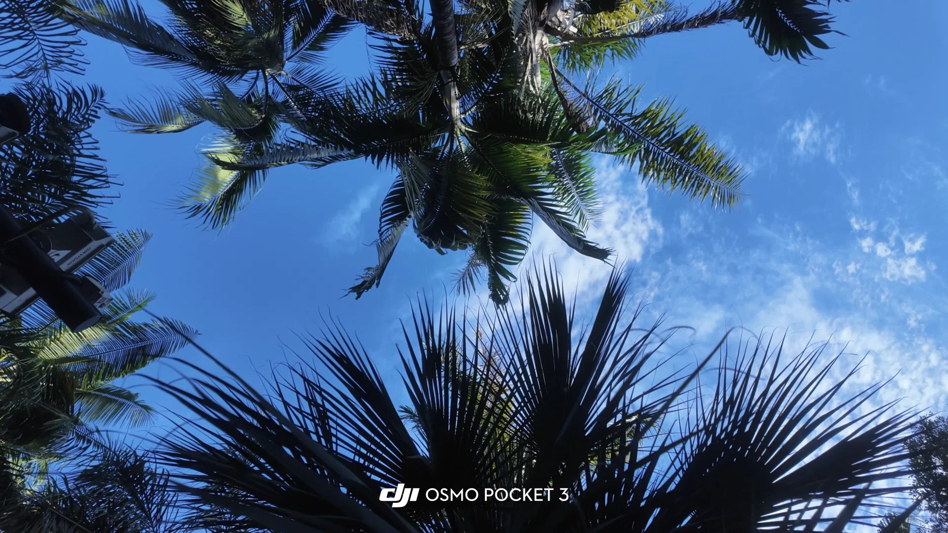 大疆pocket3实况太有电影感了!! (1).jpg