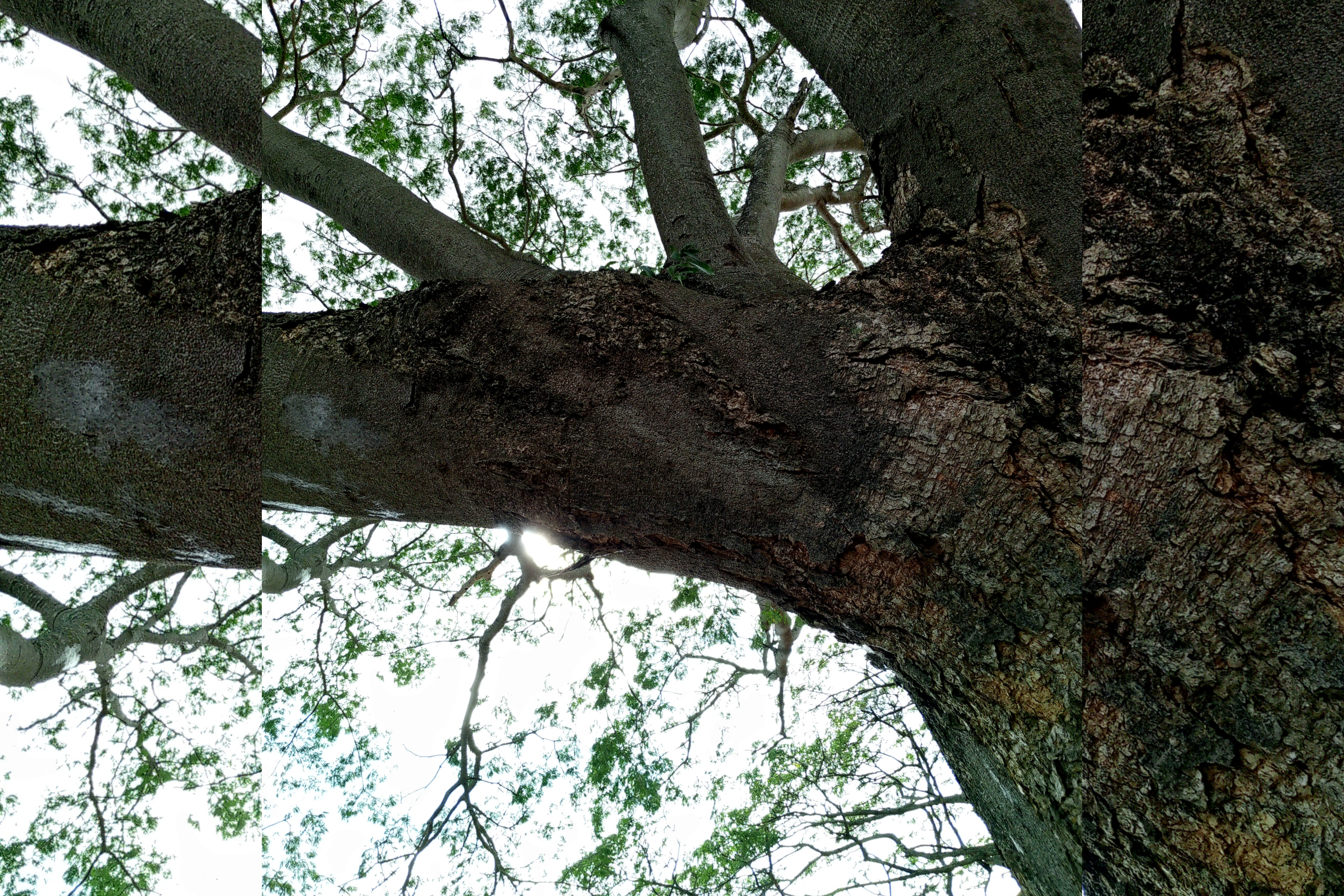 InShot_20260120_220902826.jpg