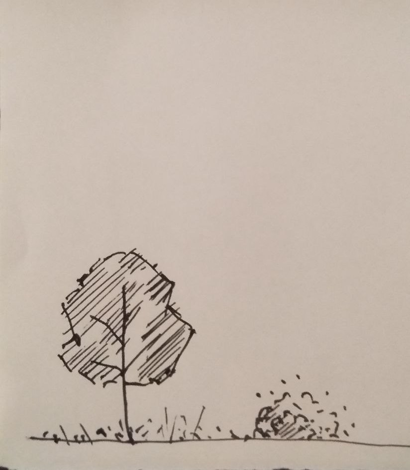 sketch.jpg